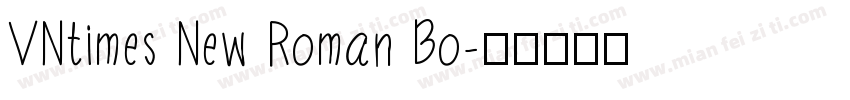 VNtimes New Roman Bo字体转换